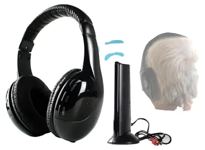 Productafbeelding van Draadloze hoofdtelefoon, HiFi-geluid, FM-radio, WH201