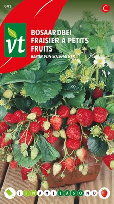 Obrázek produktu pro Semena lesních jahod Baron von solemacher - cca 0,3 gr | VT_991