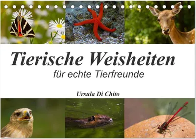 Produktbild von Tierische Weisheiten (Tischkalender 2025 DIN A5 quer), CALVENDO Monatskalender