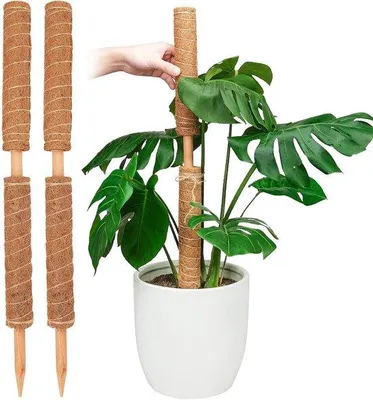 Produktbild von Unyqoos® Ausziehbarer Moosstab – verstellbare Pflanzenstütze für Zimmer- & Kletterpflanzen (z. B. Monstera, Pothos), 15,7 Inch Kokosstab, 4 Stück