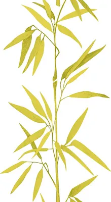 Produktbild von A.S. Création selbstklebendes Panel "pop.up Panel", grün, weiss, 2,50 m x 0,35 m, 942731, 94273-1