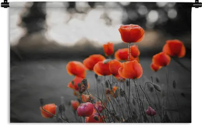 Produktbild von MuchoWow® Wandteppich Wandbehang Rote Mohnblumen vor schwarzem und weißem Hintergrund 60x40 cm Tapisserie Dekoration Wandtuch - Wanddekorationen