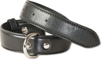Produktbild von Rimbaldi® Voll-Leder Hundehalsband für mittelgroße Hunde mit 35-45 cm Halsumfang in Schwarz