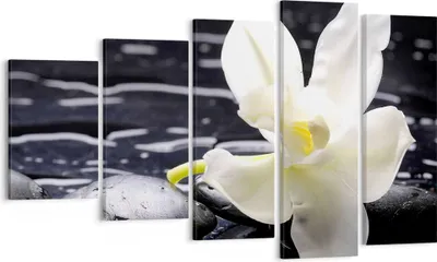 Produktbild von Bild auf Leinwand - Leinwandbild - Spa Orchidee Steine Wasser - 100x60cm - Wand Bild - Wanddeko - Leinwanddruck - Bilder - Kunstdruck - Wanddekoration - Leinwand bilder - Wandkunst - EG100x60-0444