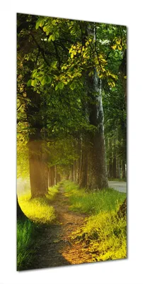 Produktbild von Wallario selbstklebende Duschrückwand 70 x 200 cm mit Motiv Allee bei Sonnenuntergang - Wandverkleidung mit Hochglanzlaminat in Glasoptik