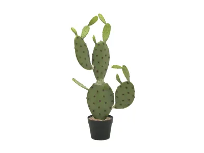Produktbild von EUROPALMS Blätterkaktus, Kunstpflanze, 75cm (82600068)
