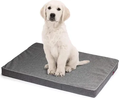 Produktbild von Matrace pro psy | XL: 120 x 100 x 6 cm | Pohovka pro psy Polštář pro psy Podložka pro velké i malé psy | Tkanina Codura | Lze prát | Barva: šedá