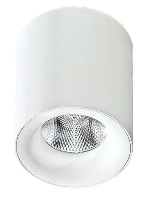 Zdjęcie produktu dla Oprawa natynkowa spot LED 30W MANE AZ4155 Azzardo