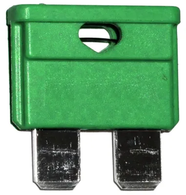 10x 30A grüne Sicherungen 19mm 6-32V für Auto