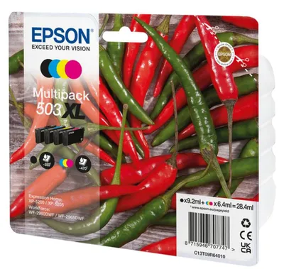 Immagine prodotto di Epson 503XL Multipack - Confezione da 4 pezzi - XL - nero, giallo, ciano, magenta - originale - blister