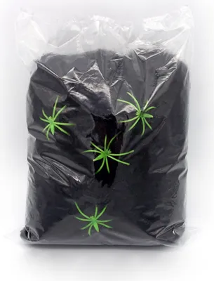 Produktbild von Schwarzes Spinnennetz mit Spinnen (60Gramm)