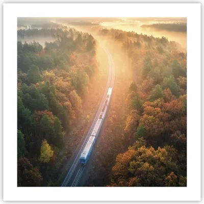 Produktbild von Poster - Poster ohne Rahmen - Bahn Herbst So - 50x50 cm - Wand Bild - Wanddeko - Wandbilder - Kunstposter - Wandposter - Bilder - Kunstdruck - Wanddekoration - Wandbild - P2XAC50x50-4632