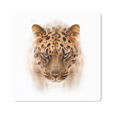 Produktbild von MuchoWow® Mauspad Mousepad Panther - Porträt - Weiß 20x20 cm - Mousepads - Maus Mat - Pad - Mausunterlage - Desk Mat - Bureauartikeln