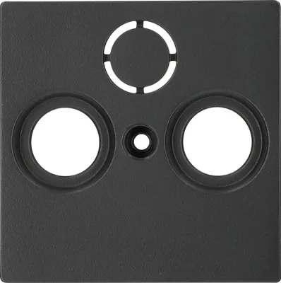 Imagen del producto de Placa central Merten para antenas, modelo 297514, con enchufe, color antracita, sistema M