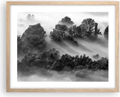 Produktbild von Gerahmtes Poster - Rahmen in heller Eiche - Schwarzweiß Bäume Nebel - 50x40 cm - Wand Bild - Wanddeko - Wandbilder - Kunstposter - Wandposter - Bilderrahmen - Bilder - Kunstdruck - P2NAA50x40-4510