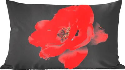 Produktbild von MuchoWow® Zierkissen Sofakissen Wohnzimmer Dekokissen 50x30 cm Eine rote Pfingstrose auf schwarzem Hintergrund - Wohnzimmerdekoration - Polster mit Photo