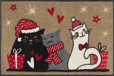 Schmutzfangmatte Cuddle Time 50x75 cm, waschbar, für drinnen & draußen