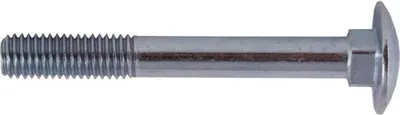 Productafbeelding van SCHROEF (DIN603 M10X60, verzinkt) - 8 stuks