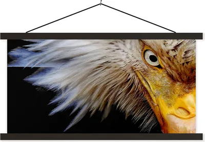 Produktbild von MuchoWow® Textilposter Vogel - Auge - Schnabel 150x75 cm mit schwarzem Rahmen - Posterleiste