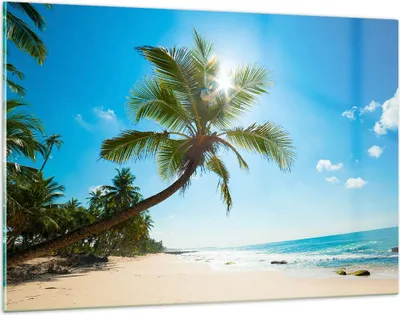 Produktbild von Bilder auf glas - Strand Palme Meer - 120x80cm - Glasbilder - Wandbilder - Kunstdruck - zum Aufhängen bereit - Wanddekoration aus Glas - Glas Bilder - Wandbild auf Glas - Einteilig - GAA120x80-3570