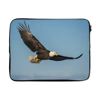 Produktbild von MuchoWow® Laptop Hülle 15 Zoll Vogel - Adler - Raubvögel Laptoptasche - Laptoptasche - Sleeve - Rundum-Schutz