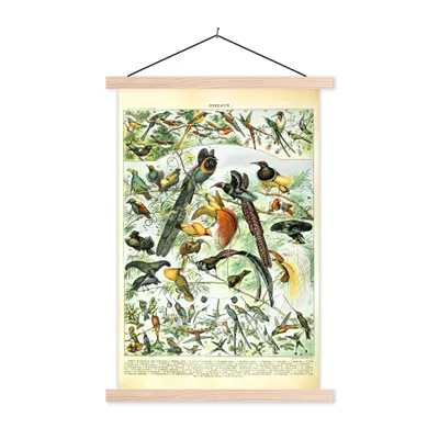 Produktbild von MuchoWow® Textilposter Vögel - Natur - Tiere 40x60 cm mit holzfarbenen Rahmen - Poster