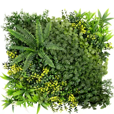 Image de Mur végétal Multiéléments Oasis de verdure pour votre aménagement intérieur 50 x 50 cm
