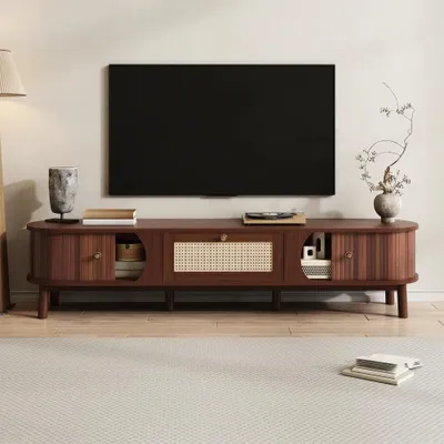Obrázek produktu pro TV skříň - TV nábytek - TV stolek - TV skříň s úložným prostorem - nábytková skříň - masivní mahagonové dřevo