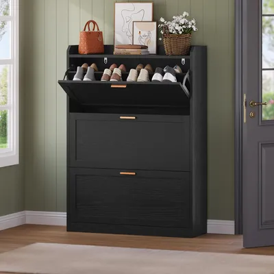 Image de Armoire à chaussures KIMENICH avec 3 portes battantes, range-chaussures étroit, 24 x 80 x 121 cm, noir