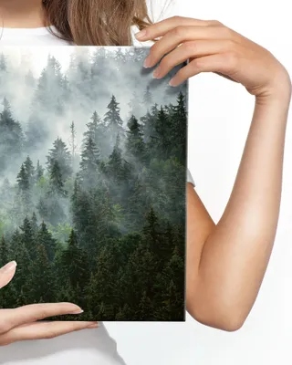 Obrázek produktu pro Mlžná horská krajina malba Dekorace do obývacího pokoje Divoká tropická příroda 3D 120x80cm