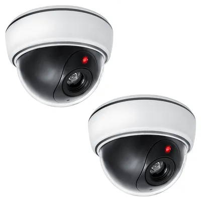 Produktbild von 2x Dummy-Dome-Kamera mit blinkender LED
