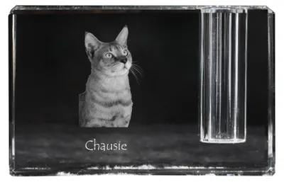 Productafbeelding van Art-Dog Pennenhouder – Chausie