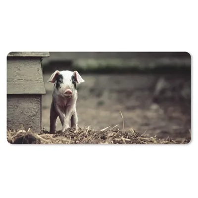 Produktbild von MuchoWow® Mauspad Mousepad Schwein - Stall - Baby 60x30 cm - Mousepads - Maus Mat - Pad - Mausunterlage - Nachhaltig