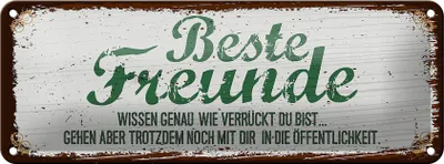 Produktbild von Blechschild Beste Freunde wissen grün braun, 27 x 10 cm, Blechschilder Spruch Glück Weisheit