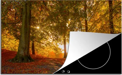 Produktbild von KitchenYeah© Herdabdeckplatte Herbst - Licht - Wald , 76x51cm, Küche Deko, Glaskeramikkochfeld Herdabdeckung, Abdeckplatte fùr Kochfeld