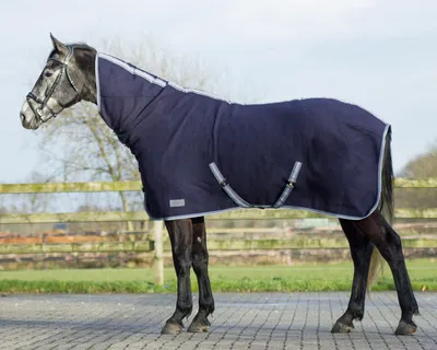 Produktbild von QHP Wolldecke mit Hals Blau 215/165cm