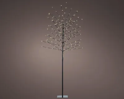 Produktbild von Lumineo Valopuu 160 LED, ulkokäyttöön, lämmin valkoinen