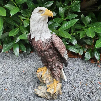 Produktbild von Adler Gartenfigur Weißkopfseeadler Figur auf Stamm 41 cm
