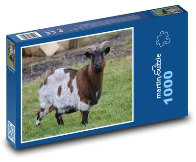 Produktbild von Puzzle 1000 Ziege auf grüner Wiese - martinpuzzle