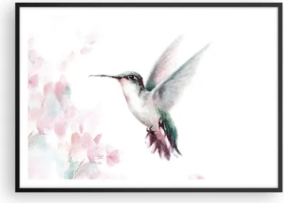 Produktbild von Gerahmtes Poster - Schwarzer Rahmen - Kolibri Aquarell Licht - 100x70 cm - Wand Bild - Wanddeko - Wandbilder - Kunstposter - Wandposter - Bilderrahmen - Bilder - Kunstdruck - P2BAA100x70-4518