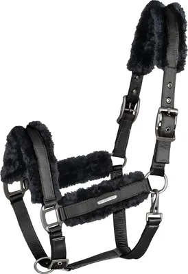 Produktbild von Waldhausen Paris Halfter Schwarz Cob Schwarz Cob