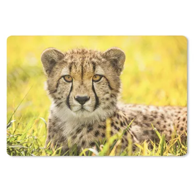 Produktbild von MuchoWow® Mauspad Mousepad Leopard - Gras - Gepard 27x18 cm - Mousepads - Maus Mat - Pad - Mausunterlage - Büroartikel - Desk Matten