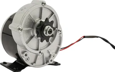 Immagine prodotto di Motore brushless DC per e-bike - MY1016Z - 12 V - 250 W - 2750 giri/min - Rapporto di riduzione 9:1 - 20 A - Carico massimo circa 100 kg - Nero/argento