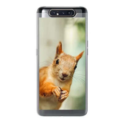Produktbild von MuchoWow® Handyhülle Schutzhülle Hülle für Samsung Galaxy A80 Eichhörnchen - Lustig - Nuss - Kinder - Jungen - Mädchen - Kind Silikon Softcase Handy Hülle - Schutzdeckel