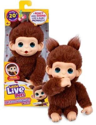 Zdjęcie produktu dla Pluszowa zabawka – mała małpka, Little Live Pets Mon Bébé Singe, brązowa, od 4 lat