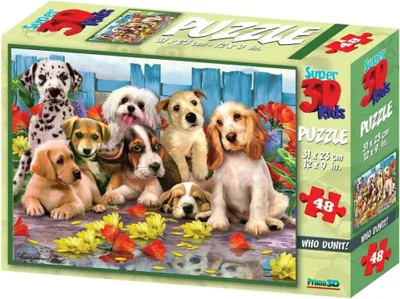 Image de Puzzle 3D - Psi
