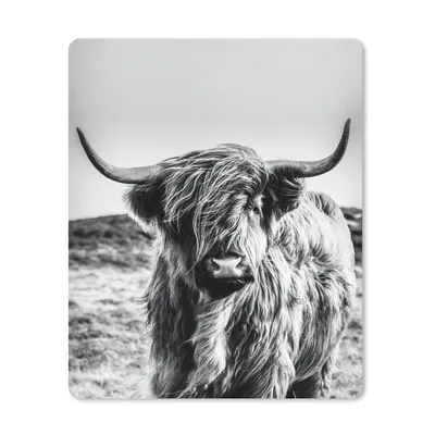 Produktbild von MuchoWow® Mauspad Mousepad Kuh - Schottischer Hochländer - Schwarz - Weiß - Tier - Natur - Wildtiere 19x23 cm - Mousepads - Maus Mat - Pad - Mausunterlage - Mauspads - Spielen