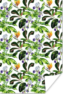 Produktbild von MuchoWow® Poster Paradiesvogelpflanze - Blätter - Muster 80x120 cm - Papierdruck