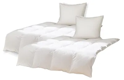 Produktbild von Bettenset 2x Bettdecke 135 x 200 cm 2 x Kissen 80 x 80 cm 90% Federn, 10% Daunen