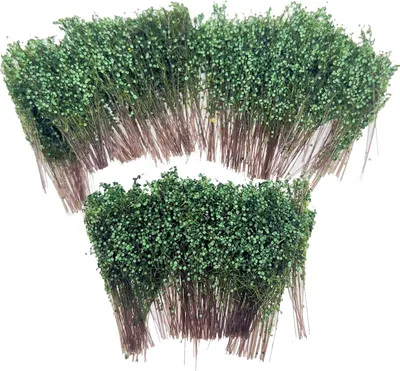 Imagen del producto de Mini arbusto verde en miniatura, modelo alargado, 10 unidades, para maquetas y dioramas